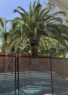 Sandoval Tree Service