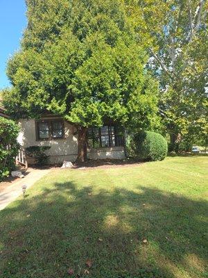 Benitez Landscaping Pro Services