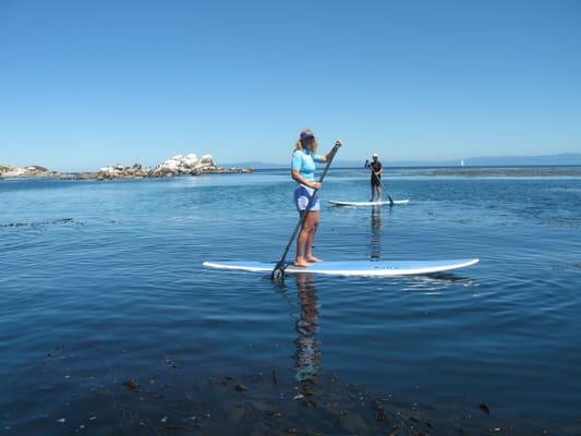 Adventures By The Sea