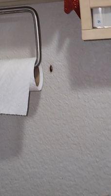 INFESTED WITH ROACHES