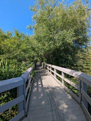 Beautiful day to walk this trail