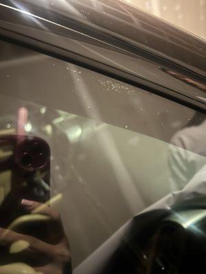 PROCRAFT BODY & PAINT INC