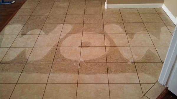 A Spotless House Carpet and Tile Cleaning