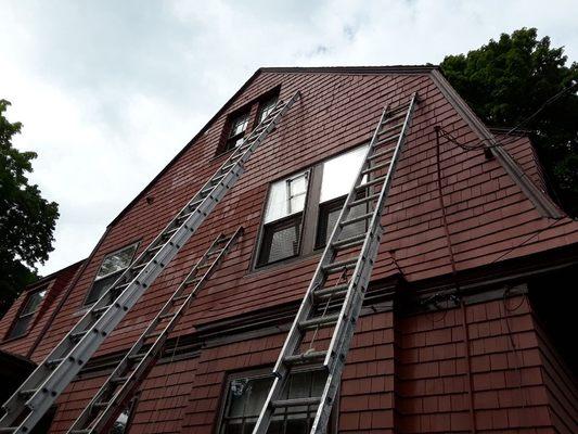 Exterior and trim paint