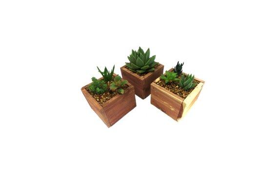 We make our own Cedar Boxes