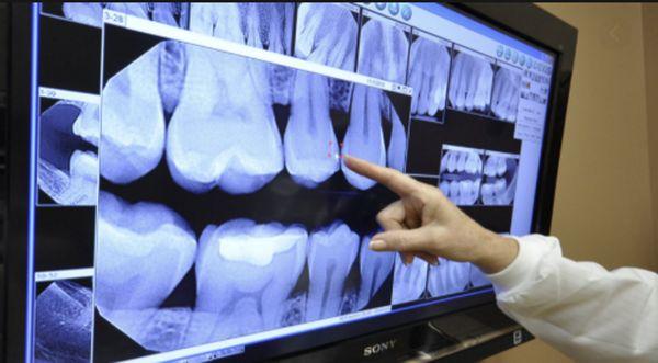 Johnson, Larry A, DDS, PC