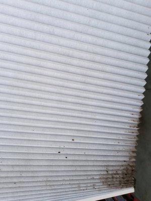 Before Mold cleaning on blinds