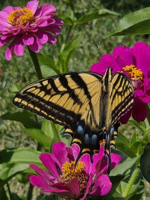 Surfside Splash Park
