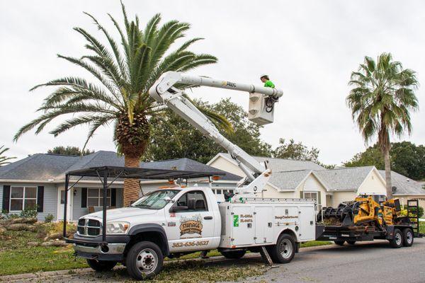Stanage Tree Service