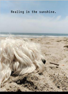 Sunshine Love Healing