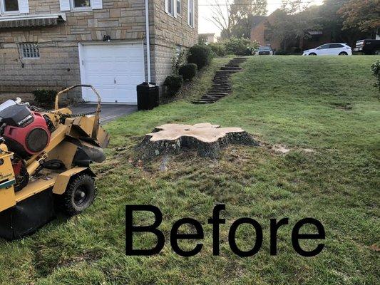 Reich Landscaping
