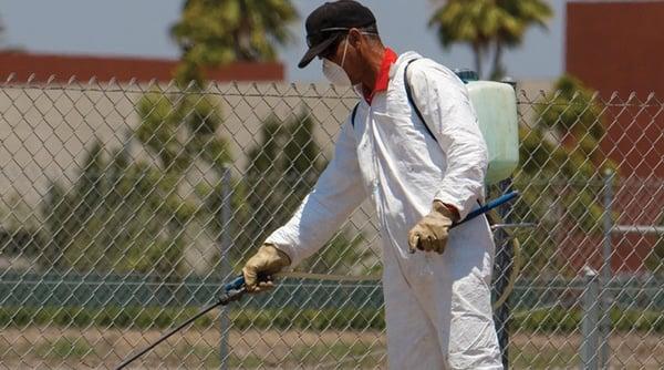 North Broadway Pest Service