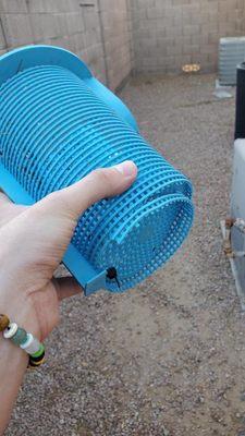 Pool basket with zip tie through it - note the piece broken off .
