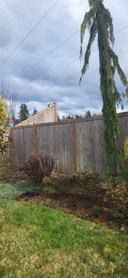 Express Landscaping And Construction