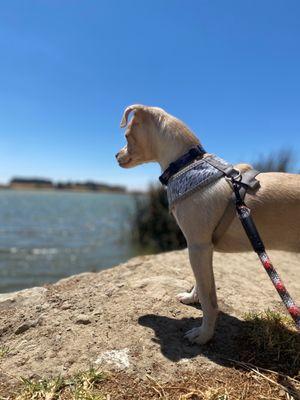 Argyll Motocross Track