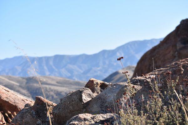Vasquez Rocks Natural Area Park