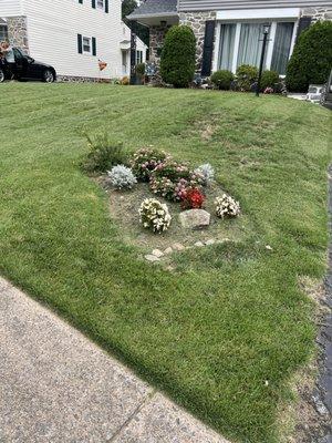 A New Leaf Landscaping and Cleaning