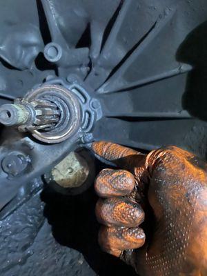 Tropical Auto Repairs