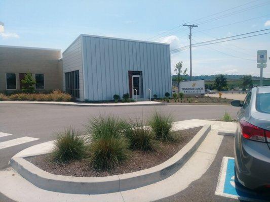 Tennessee Cancer Specialist