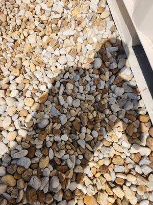 Top Cut Tree Service