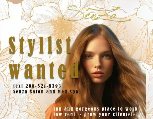 Senza Salon and Med Spa