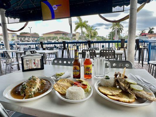 Viudo de mojarra y pargo frito