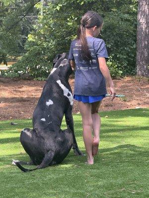 Highway 92 Animal Hospital