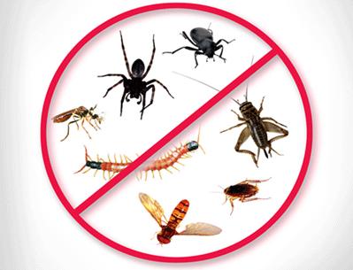 Central Wisconsin Pest Control