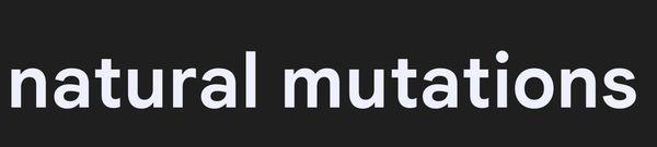 Adat Hatikvah Messianic Synagogue