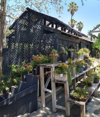 Berwick Painting and Decorating