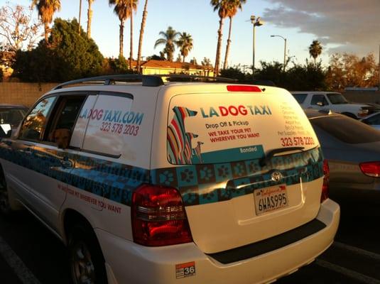 La Dog Taxi