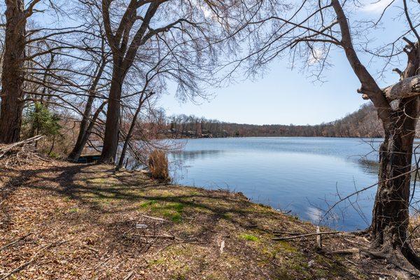 Kim Dawson - Real Broker