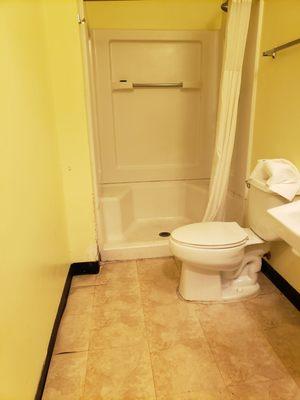 The bathroom wasn't swept, dead insect, hair soap scum in bathshower, toilet had feces residue blond hair in shower and sink