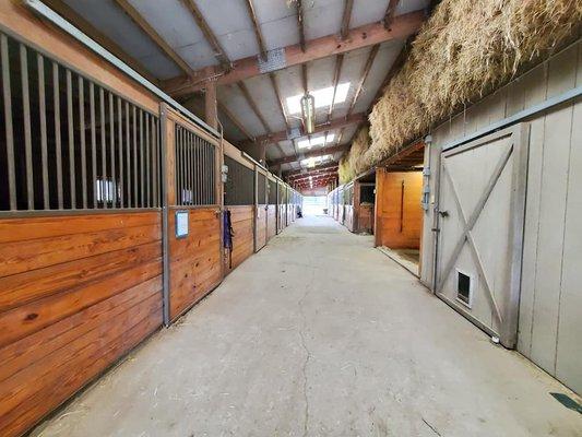 Four Seasons Equestrian Arts Center