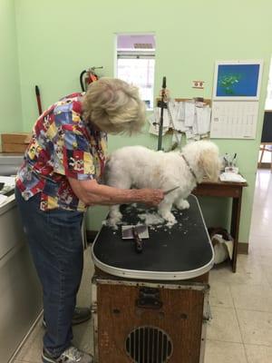 Georgiana's Groom Shop