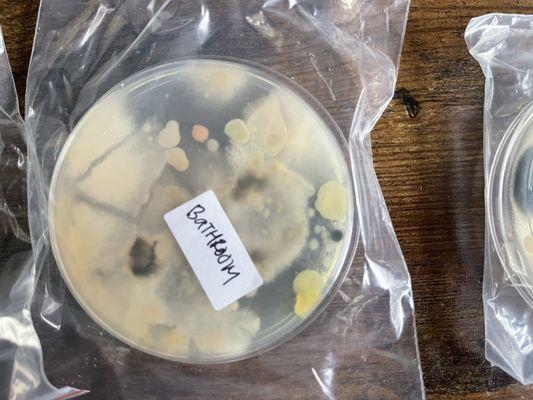 Nix Wealth Management