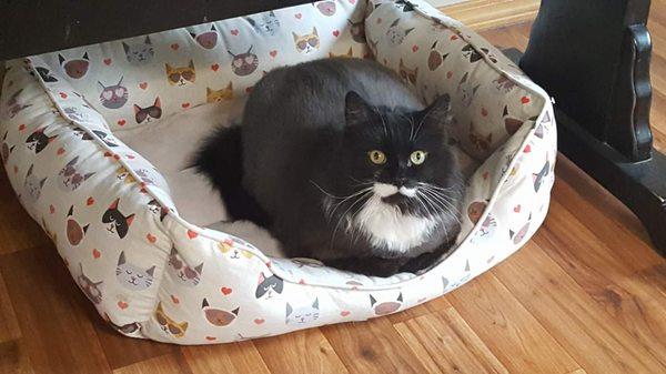 Colebrook Veterinary Clinic