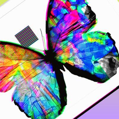 Butterfly Love Productions