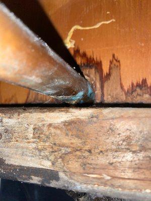 Double Take Home Inspections