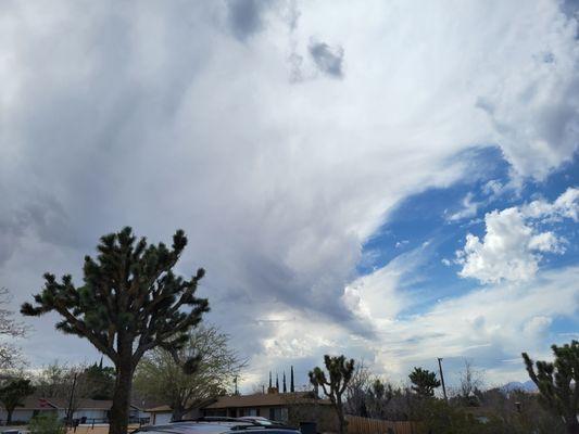 William Ramsey - HomeSmart Professionals