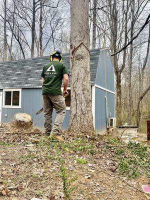 Arbor West Tree Service