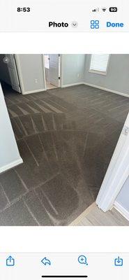 Superior Carpet Cleaning