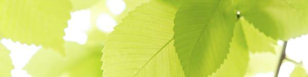 Property Services Of Madison