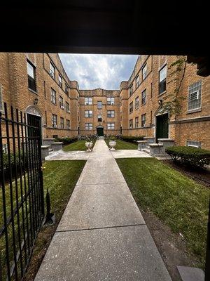 Empire Tree and Landscape