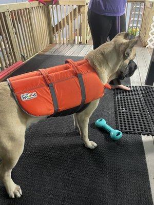 Luca at wag n Splash