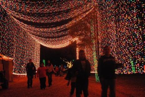 The 300' long Tejas Light Tunnel
