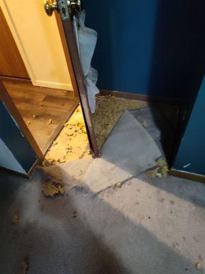 P&G Cleaning Services