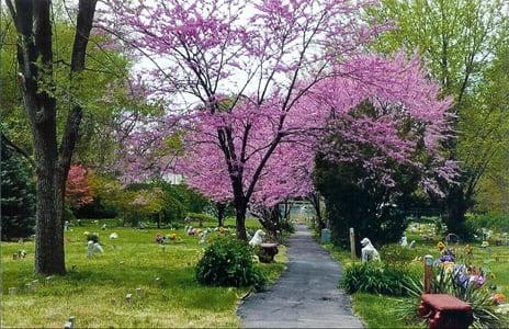 Friends of Imperial Crown Pet Cemetery