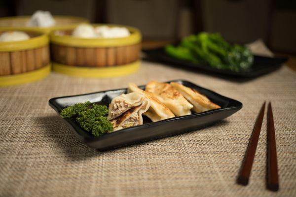 Handmade pan fried potstickers