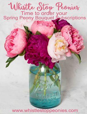 Whistle Stop Peonies
